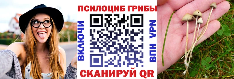 Галлюциногенные грибы MAGIC MUSHROOMS  Сухиничи 